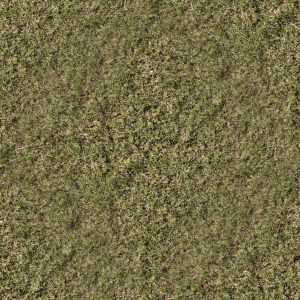 finished_grass_texture